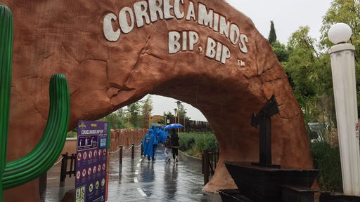 CORRECAMINOS Bip Bip