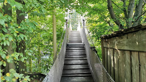 Hängebrücke, Schwimm- und Wackelbrücke