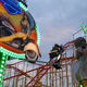 Rock & Roller Coaster