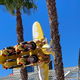 Air Race