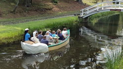 Swan Boats