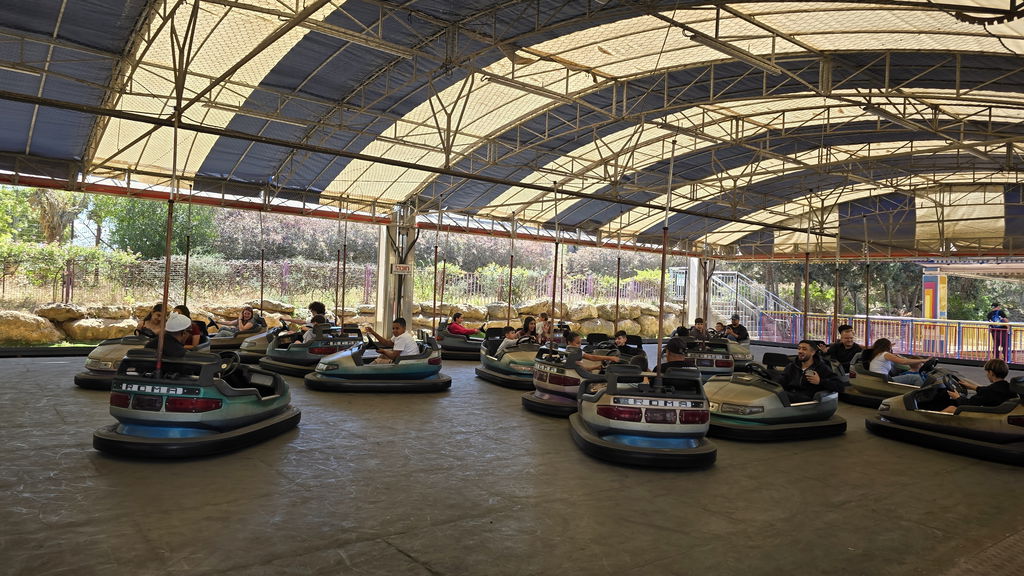 Bumper Cars