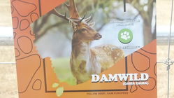 Damwild