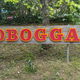 Toboggan Run
