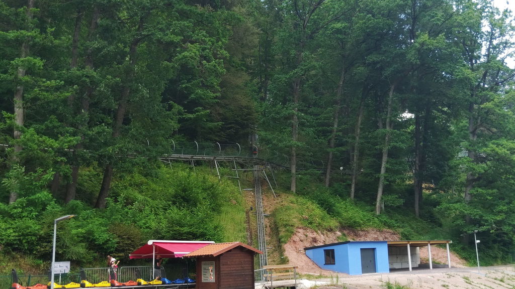 Luge