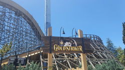 Gold Striker