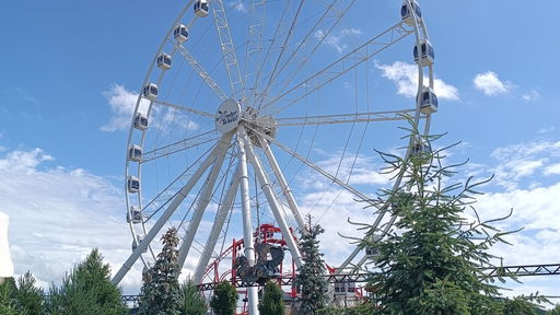 Wonder Wheel