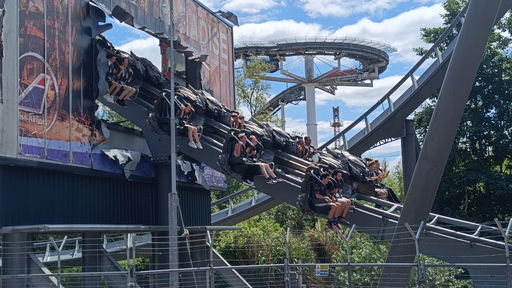 The Swarm