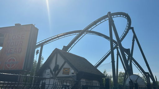 The Swarm