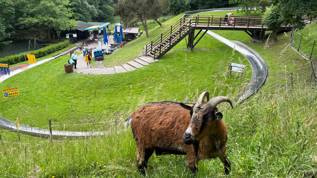 Sommerrodelbahn