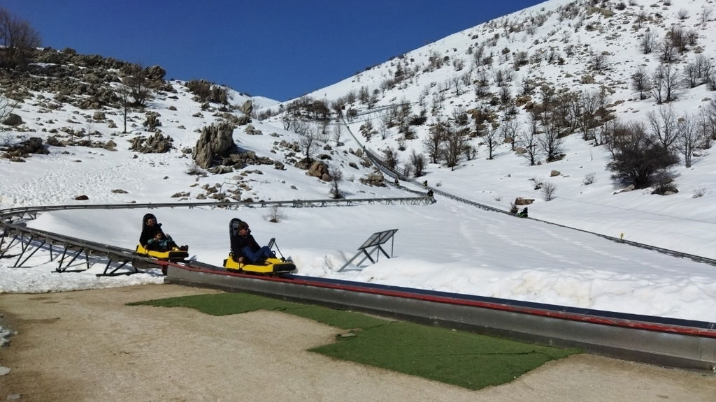 Extreme Sleds (מזחלות אקסטרים)