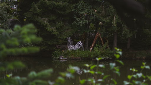 Safari-Floßfahrt