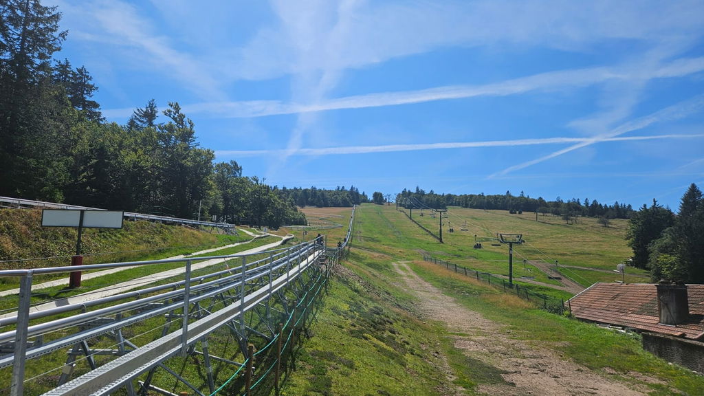 Luge d'été (right)