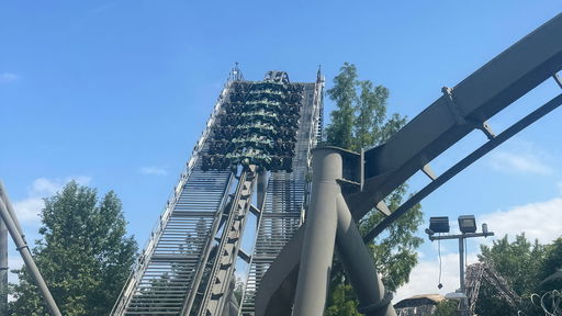 Raptor