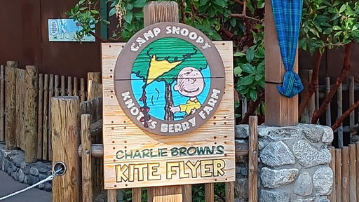 Charlie Brown's Kite Flyer