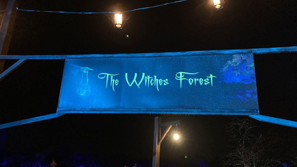 The Witches Forest