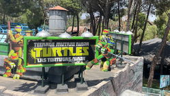 Licencia para Conducir de las Tortugas Ninja