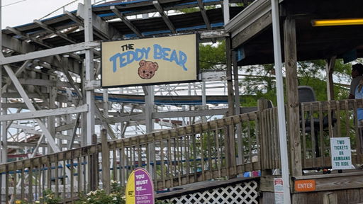 Teddy Bear