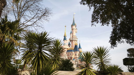 Sleeping Beauty Castle