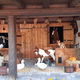 Viechstall-Theater