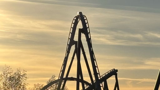 The Swarm