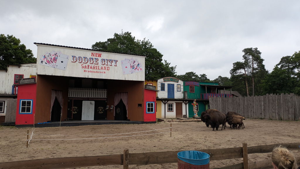 Animal Wild West Show