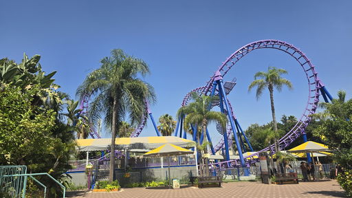Anaconda