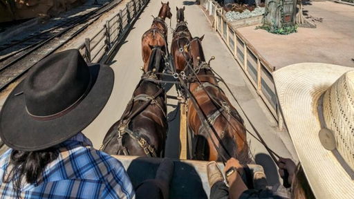 Butterfield Stagecoach