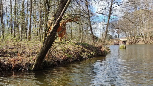 Feuersteins Kanonenboote