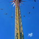 SkyScreamer