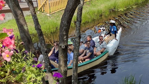 Swan Boats