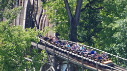 Mystic Timbers