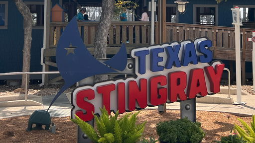 Texas Stingray