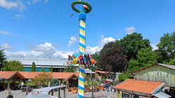 Maibaum Drop