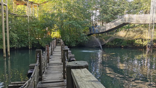 Hängebrücke, Schwimm- und Wackelbrücke