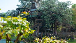 Tarzan's Treehouse