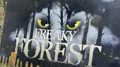 Freaky Forest