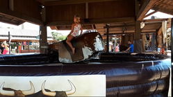 Bull Riding