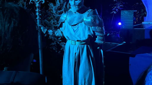 Morgana’s Frozen Knights