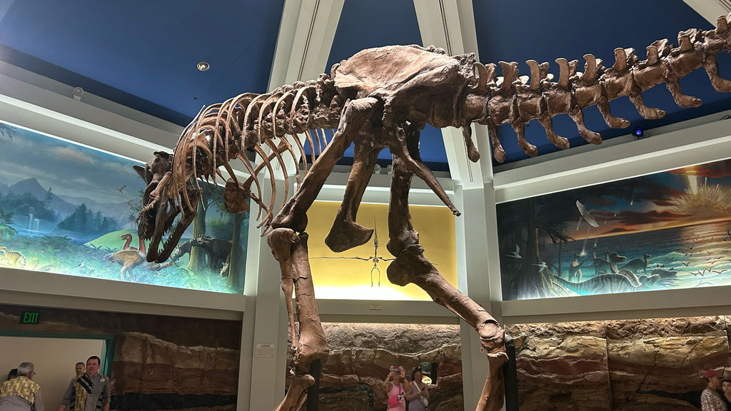 Dinosaur