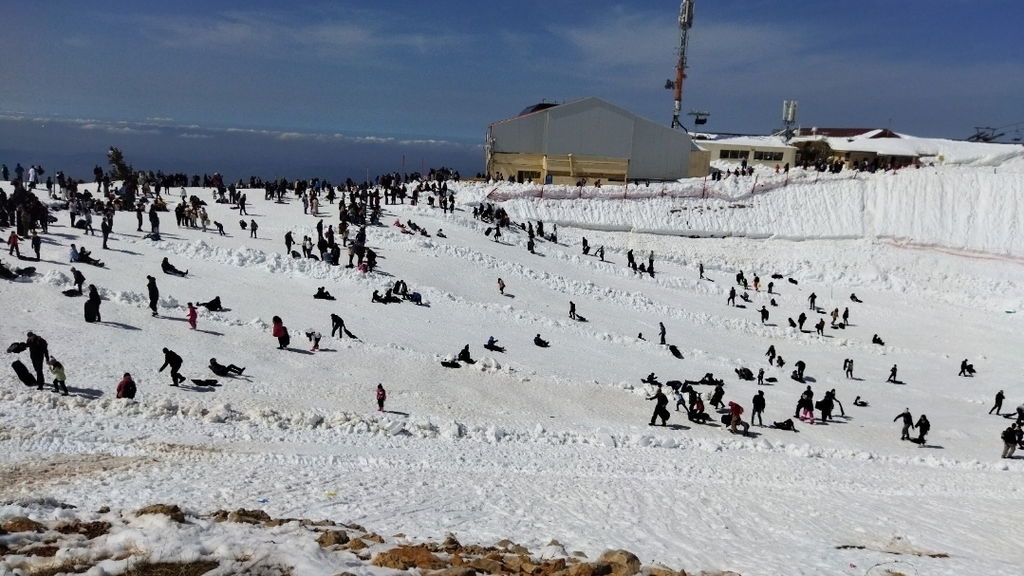 Snow Sleds (מזחלות שלג)