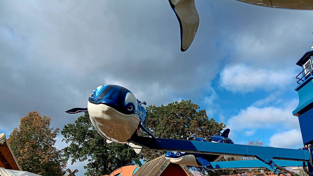 Flying Orcas