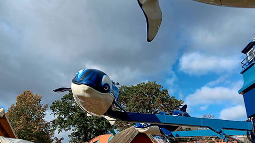 Flying Orcas