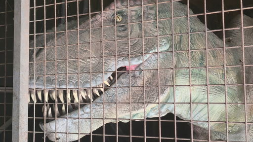 World of Dinos