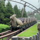 Flight of the Hippogriff