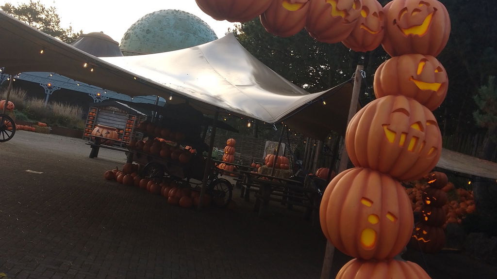 Pumpkin Market