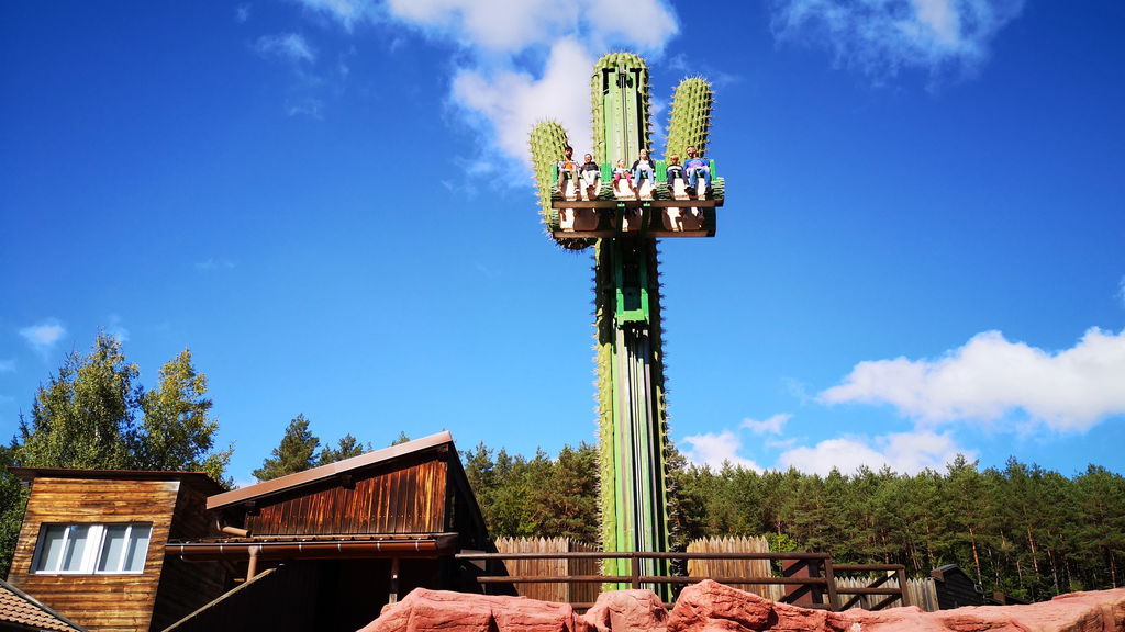 Le Cactus