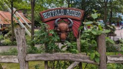 Buffalo Rodeo