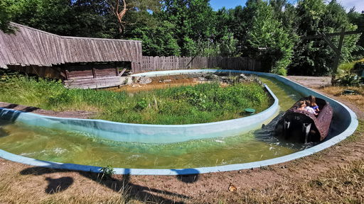 Wildwasserfahrt - Der Wasserwolf am Ilmensee