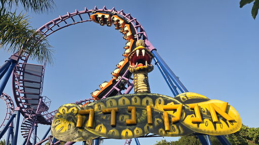 Anaconda
